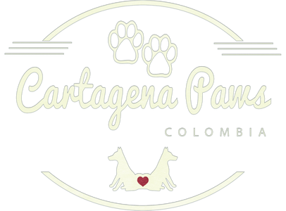 January Profit Recipient is Cartagena Paws